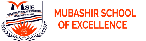 Mubashir School of Excellence